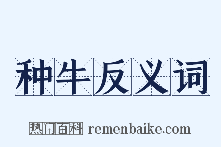 种牛反义词是什么意思的图片